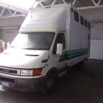 SAM_0559